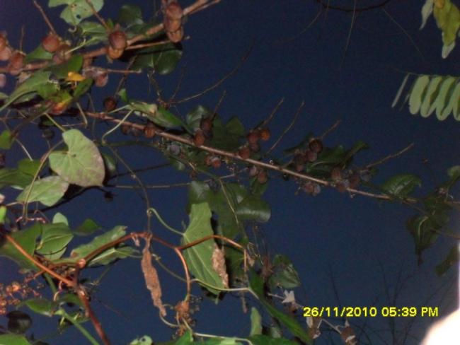 Name:  032.jpg
Views: 894
Size:  38.2 KB