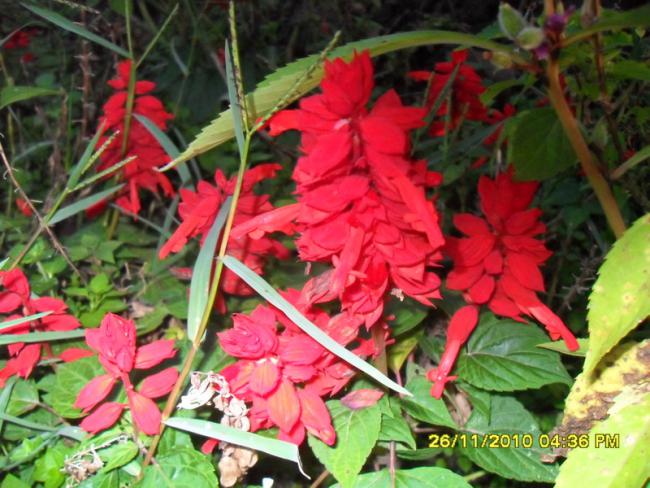 Name:  015.jpg
Views: 703
Size:  60.9 KB