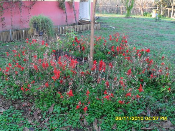 Name:  017.jpg
Views: 661
Size:  71.9 KB
