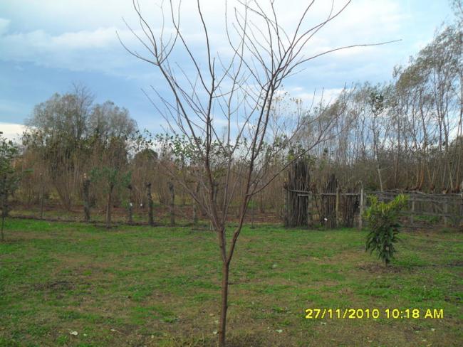 Name:  003.jpg
Views: 624
Size:  59.7 KB