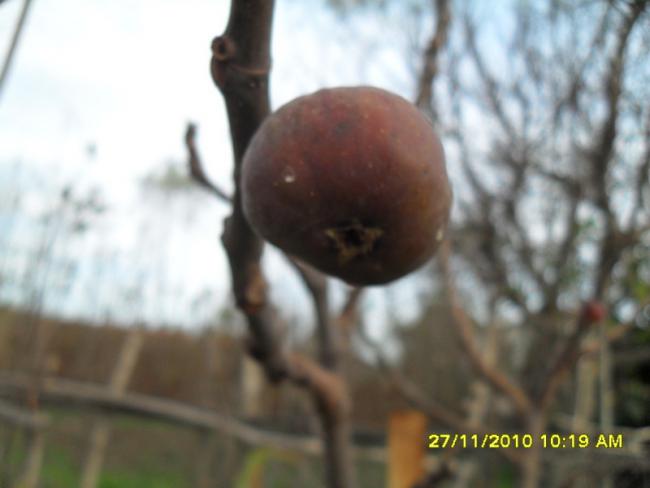 Name:  005.jpg
Views: 636
Size:  27.6 KB