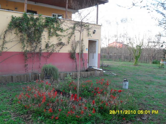 Name:  028.jpg
Views: 515
Size:  62.0 KB