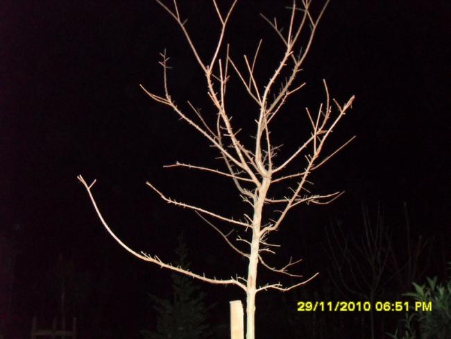 Name:  012-1.jpg
Views: 520
Size:  32.8 KB