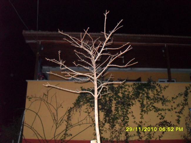 Name:  014-1.jpg
Views: 475
Size:  43.7 KB