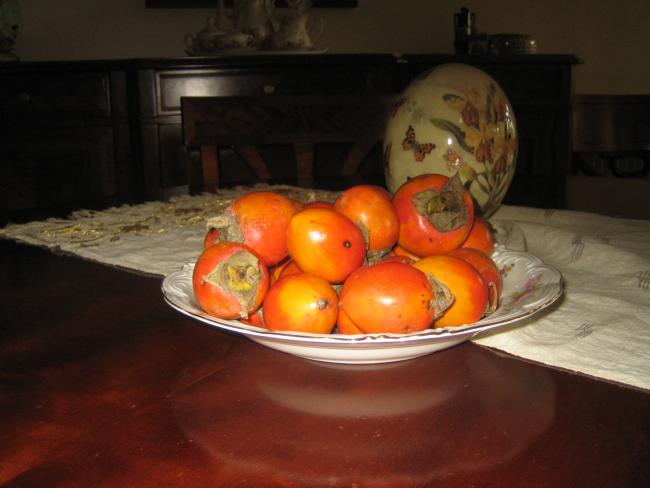 Name:  IMG_0003.jpg
Views: 1081
Size:  32.8 KB