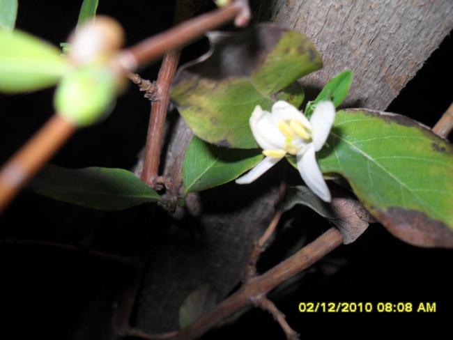 Name:  002.jpg
Views: 447
Size:  33.2 KB