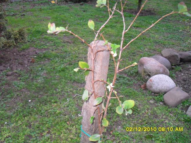 Name:  003.jpg
Views: 487
Size:  69.0 KB