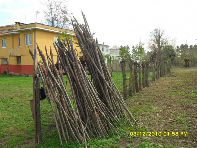 Name:  029.jpg
Views: 494
Size:  65.1 KB