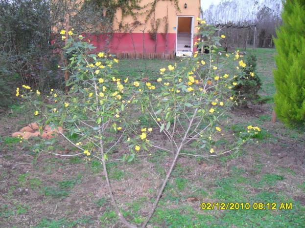 Name:  004.jpg
Views: 451
Size:  71.1 KB