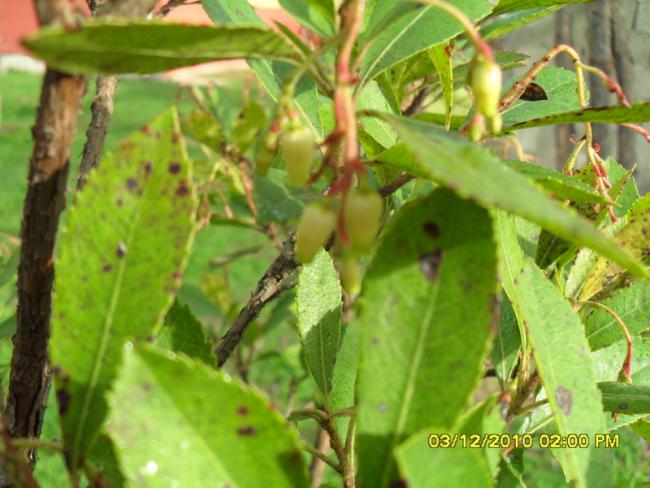 Name:  034.jpg
Views: 433
Size:  50.2 KB