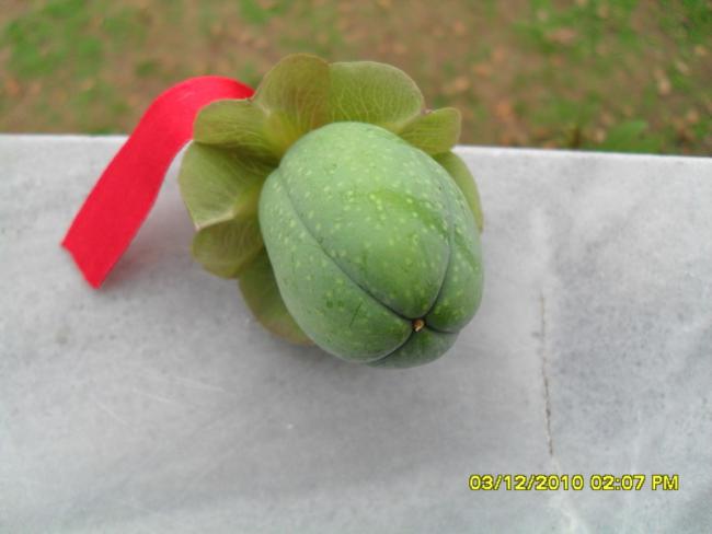 Name:  048.jpg
Views: 534
Size:  26.8 KB