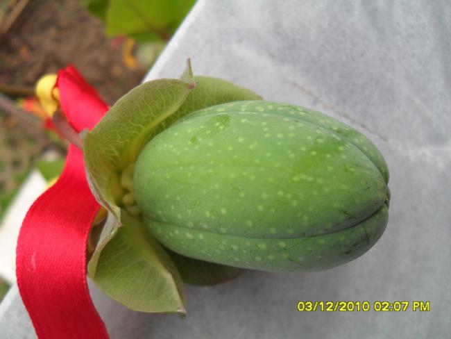 Name:  049.jpg
Views: 564
Size:  30.1 KB