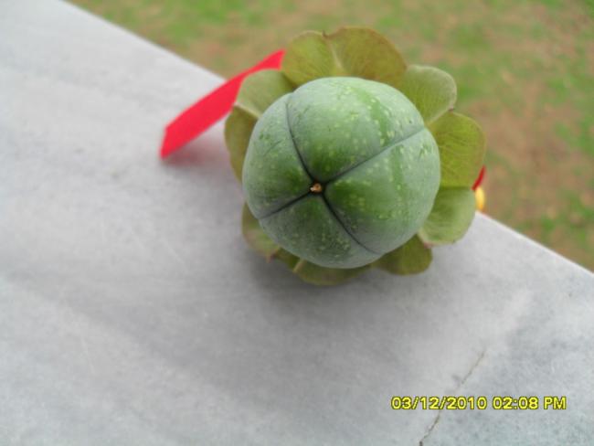 Name:  050.jpg
Views: 544
Size:  24.3 KB