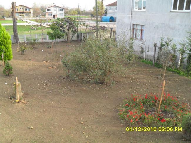 Name:  013.jpg
Views: 519
Size:  59.3 KB