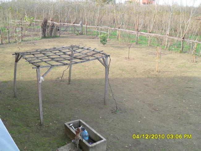Name:  011.jpg
Views: 529
Size:  59.8 KB