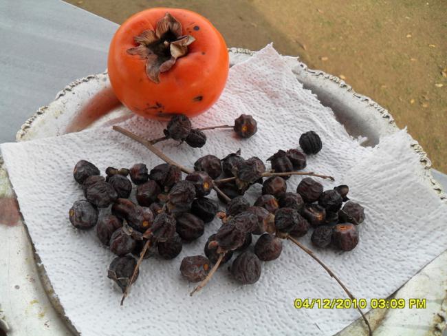 Name:  024.jpg
Views: 507
Size:  53.8 KB
