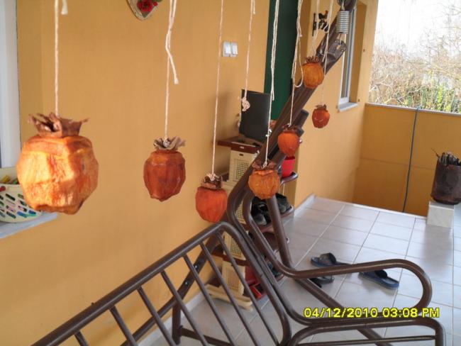 Name:  020.jpg
Views: 507
Size:  42.5 KB