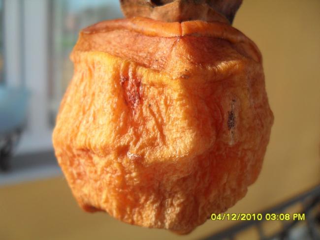 Name:  018.jpg
Views: 483
Size:  33.7 KB