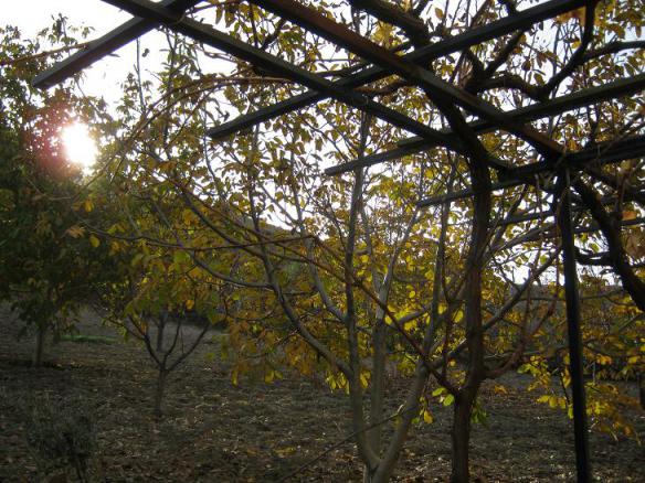 Name:  bahe7.jpg
Views: 1003
Size:  71.7 KB