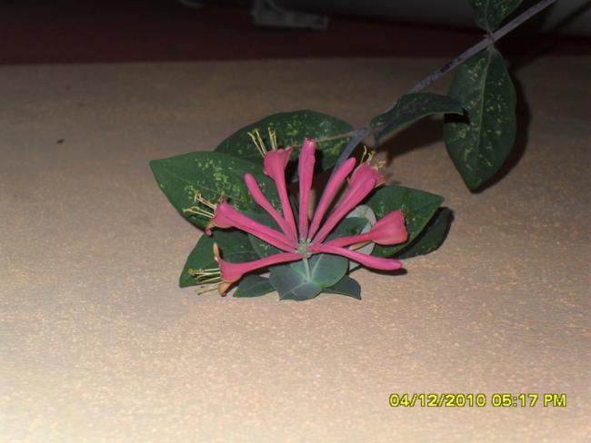 Name:  034.jpg
Views: 498
Size:  34.4 KB