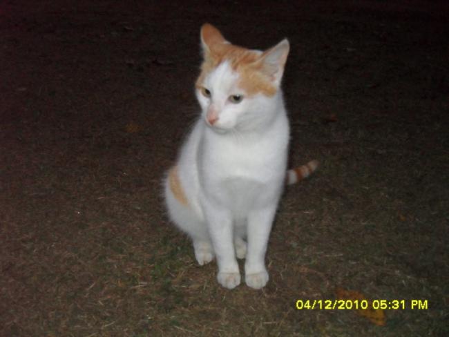Name:  047.jpg
Views: 514
Size:  31.3 KB