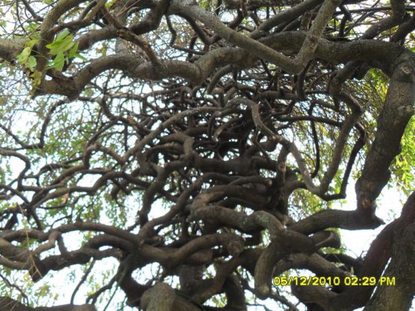 Name:  136.jpg
Views: 512
Size:  72.4 KB