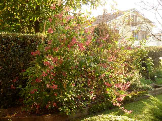 Name:  P1020200.JPG
Views: 1259
Size:  68.3 KB
