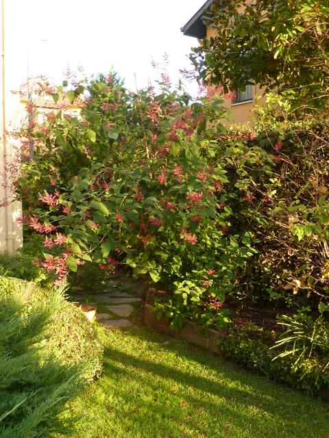 Name:  P1020205.JPG
Views: 1319
Size:  66.8 KB