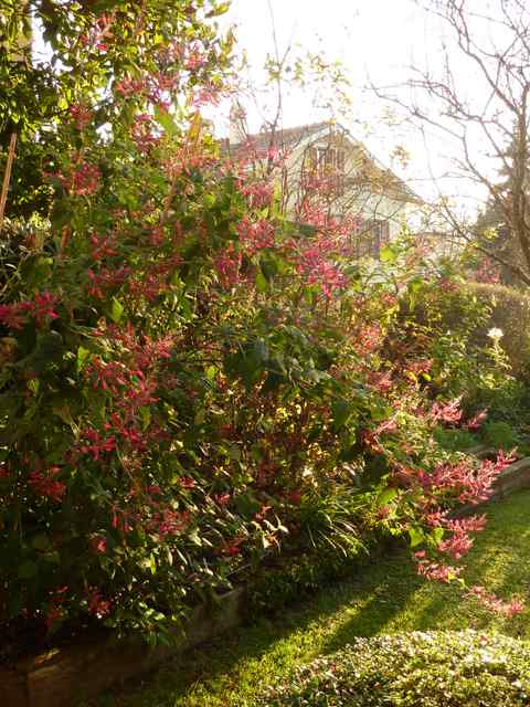Name:  P1020206.JPG
Views: 1251
Size:  67.6 KB