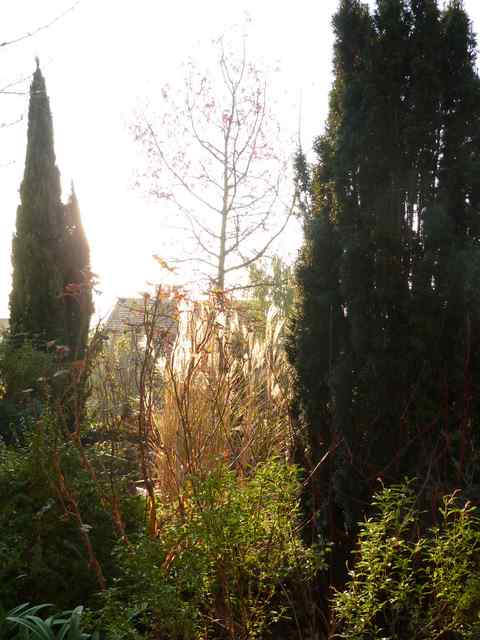 Name:  P1020204.JPG
Views: 1306
Size:  48.2 KB
