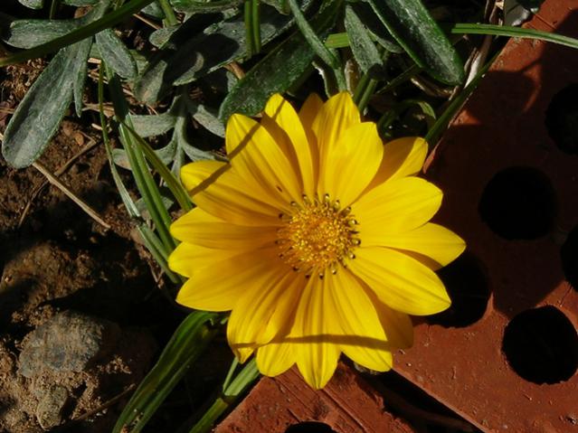 Name:  DSCN4006.jpg
Views: 569
Size:  53.4 KB