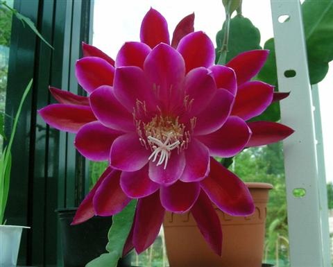 Name:  14 (Custom) (2).jpg
Views: 765
Size:  63.8 KB