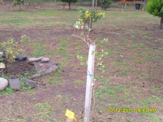 Name:  015.jpg
Views: 455
Size:  62.4 KB