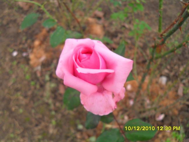 Name:  018.jpg
Views: 447
Size:  33.7 KB