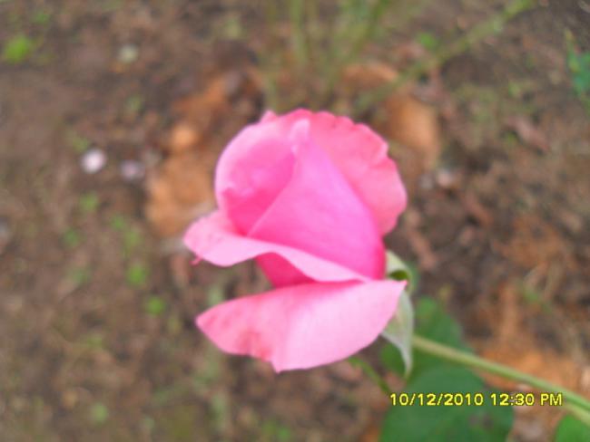 Name:  019.jpg
Views: 445
Size:  26.3 KB