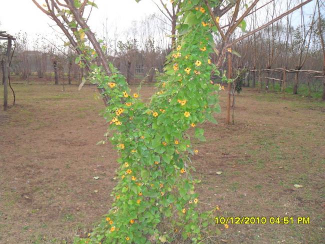 Name:  025.jpg
Views: 417
Size:  64.5 KB