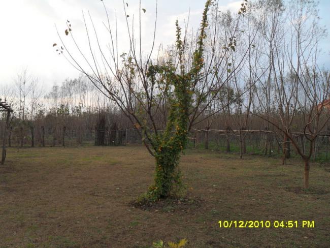 Name:  029.jpg
Views: 463
Size:  59.1 KB