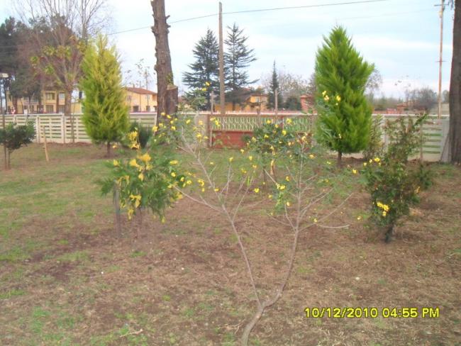 Name:  035.jpg
Views: 537
Size:  59.6 KB