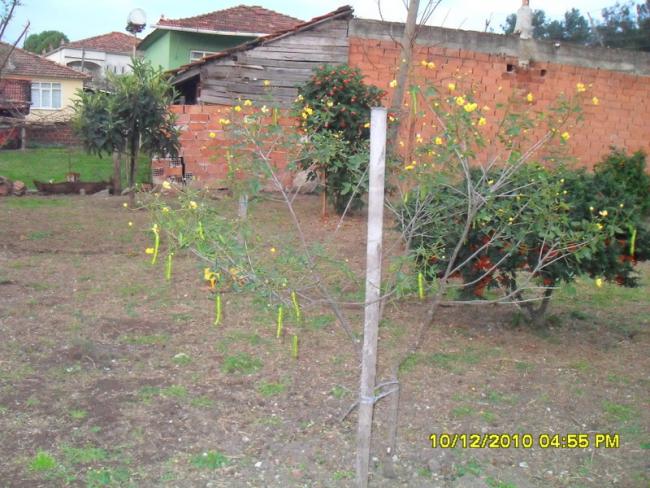 Name:  036.jpg
Views: 544
Size:  65.2 KB