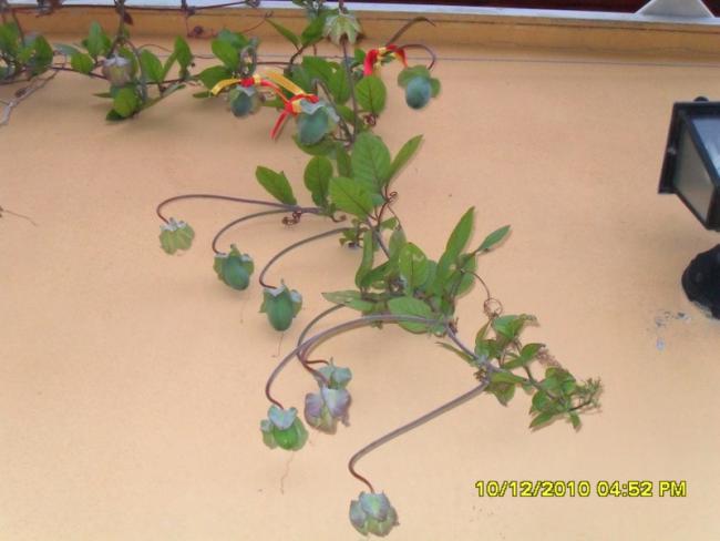 Name:  032.jpg
Views: 543
Size:  32.7 KB