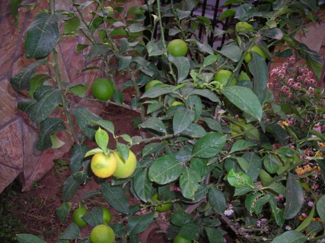Name:  DSCN4021.jpg
Views: 524
Size:  60.9 KB