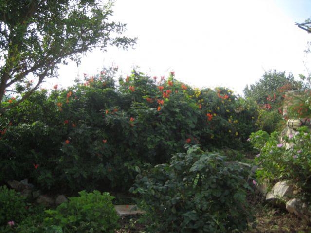Name:  IMG_4354.jpg
Views: 924
Size:  52.9 KB