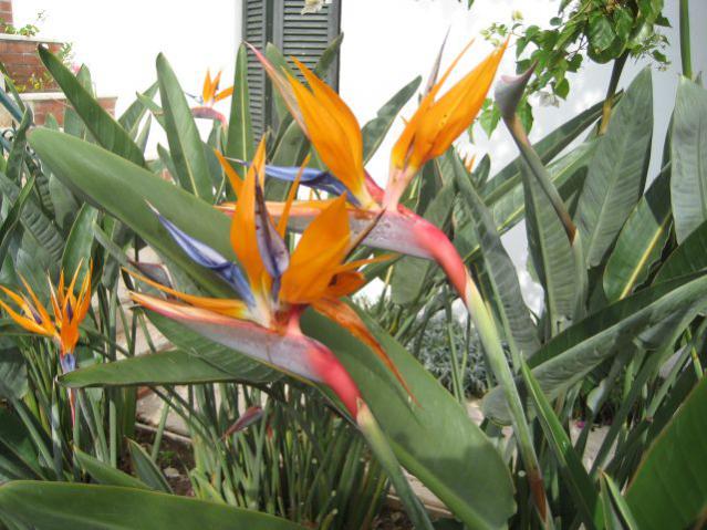 Name:  IMG_4350.jpg
Views: 1901
Size:  57.6 KB