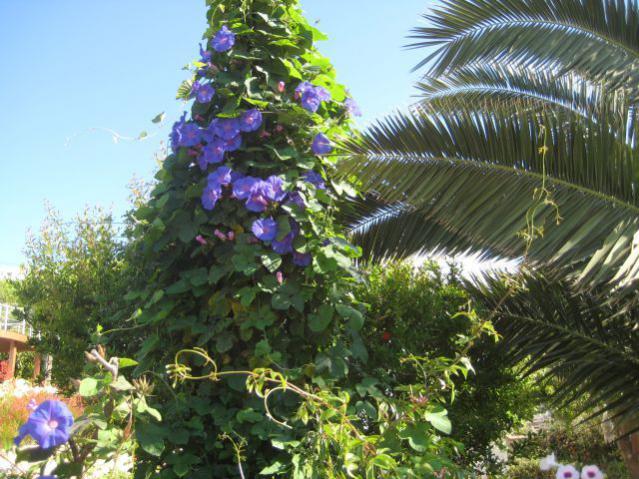Name:  IMG_2332.jpg
Views: 1039
Size:  68.8 KB