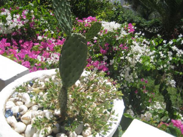 Name:  IMG_3571.jpg
Views: 1413
Size:  69.5 KB