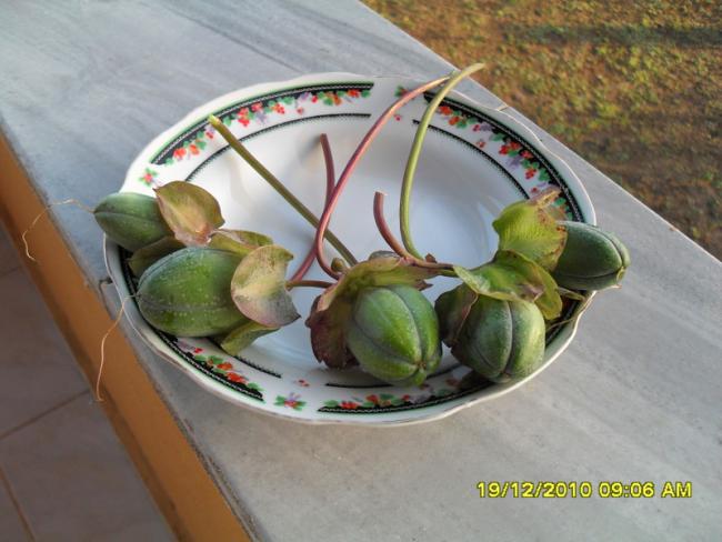 Name:  015.jpg
Views: 458
Size:  44.7 KB