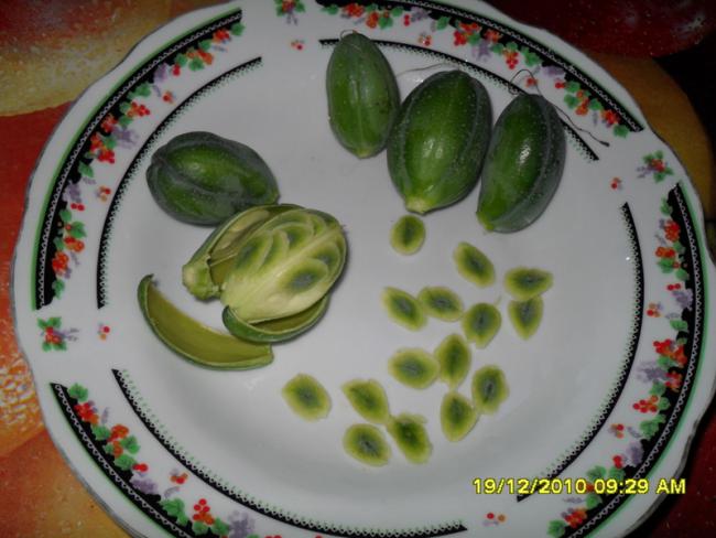 Name:  021.jpg
Views: 435
Size:  45.0 KB