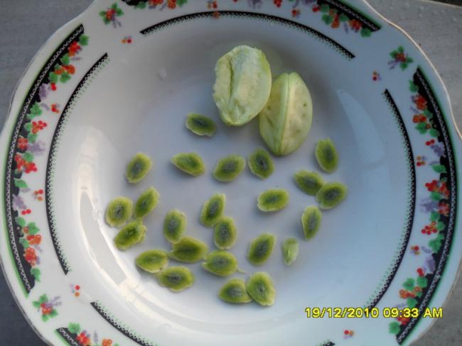 Name:  026.jpg
Views: 444
Size:  38.7 KB
