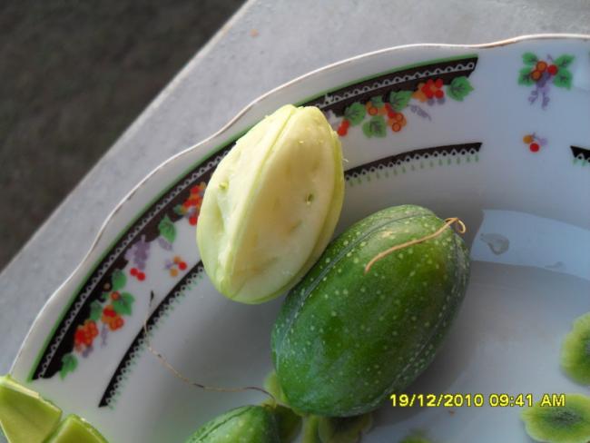 Name:  048.jpg
Views: 427
Size:  33.4 KB