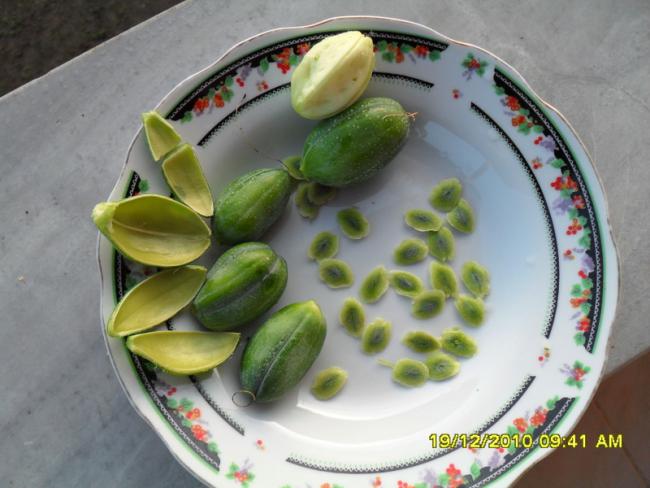 Name:  001.jpg
Views: 481
Size:  43.8 KB